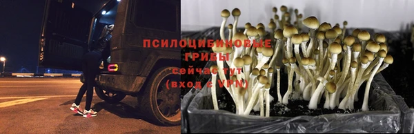 дурь Тихвин