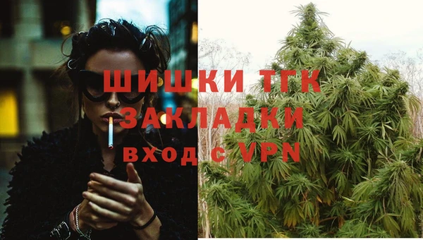 ПСИЛОЦИБИНОВЫЕ ГРИБЫ Тихорецк